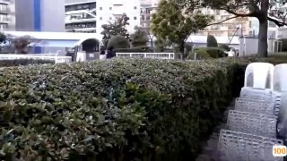 DVRT-005 DVRT-005 憧れだったイトコのお姉さんは弟の性奴●になっていた さつき芽衣